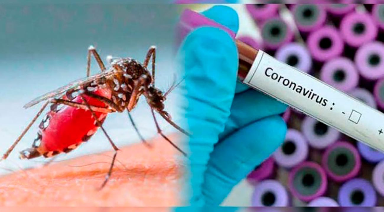 Coronavirus y dengue, dos epidemias que acechan a América