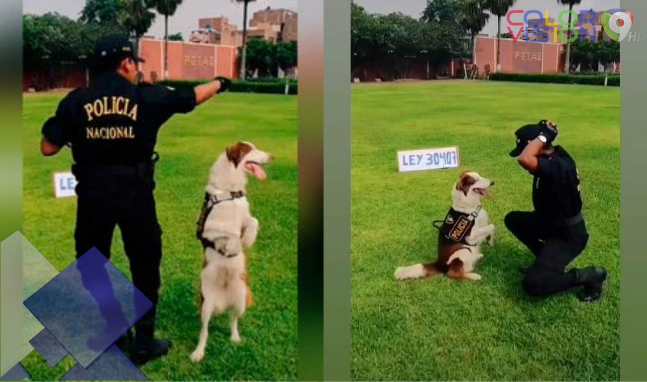 Perro Policía Viral