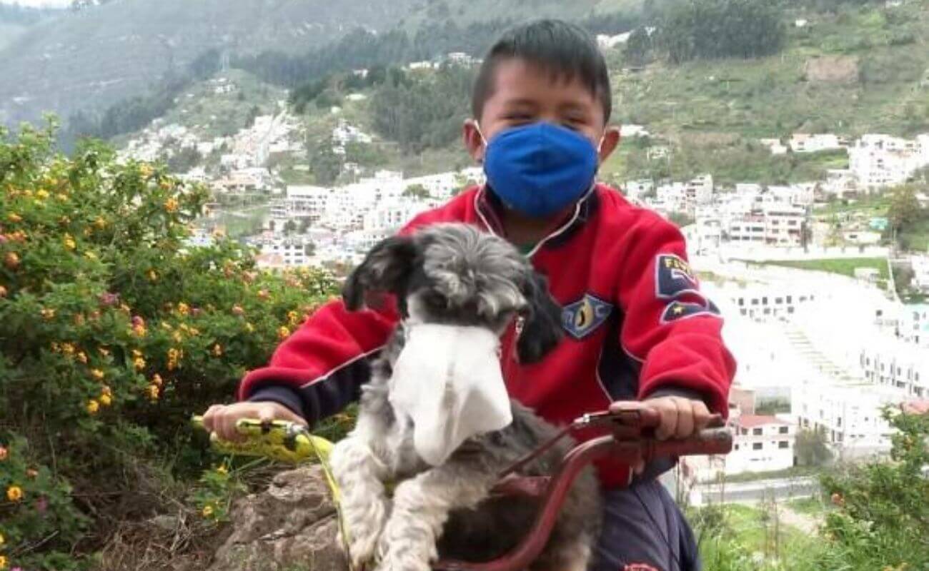 Historia viral del niño que le pone mascarilla a su perro