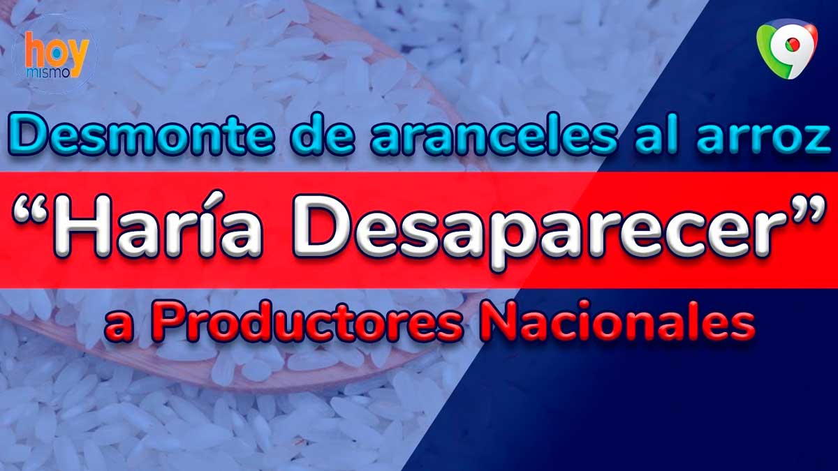 Desmonte de aranceles al arroz haría desaparecer a productores nacionales | Hoy Mismo