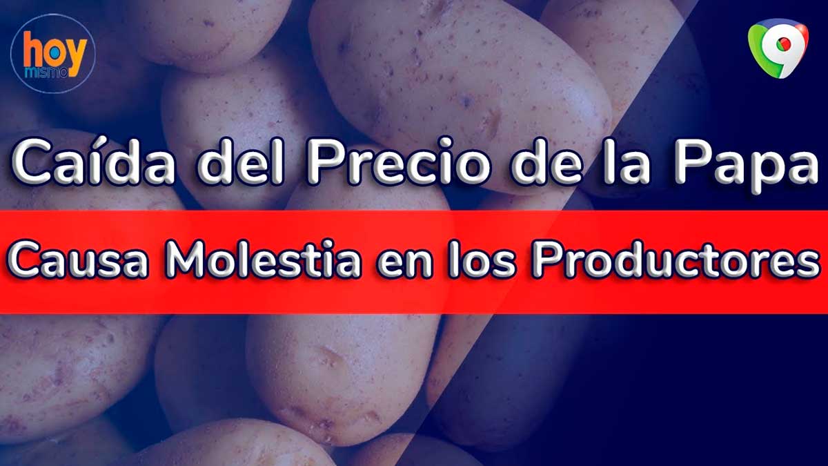 Caída del precio de la papa causa molestia en los productores