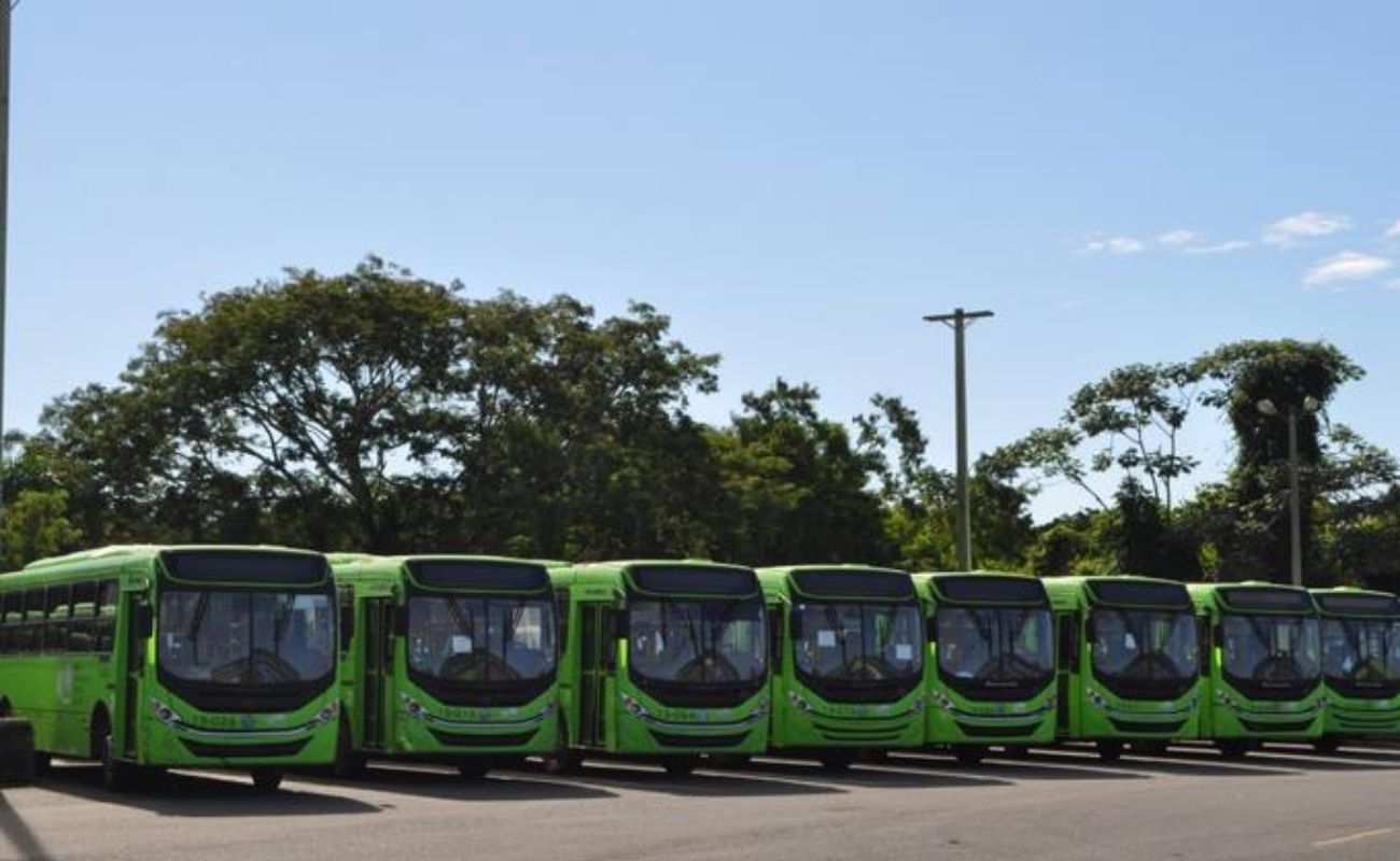 OMSA, transporte público