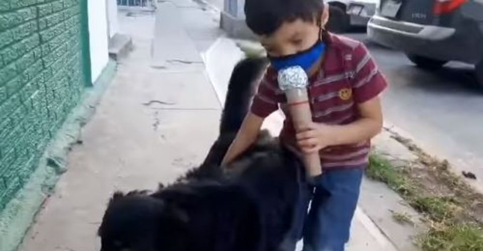 viral niño perro de la calle