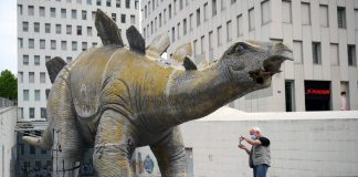 hombre muerto dentro de Dinosaurio