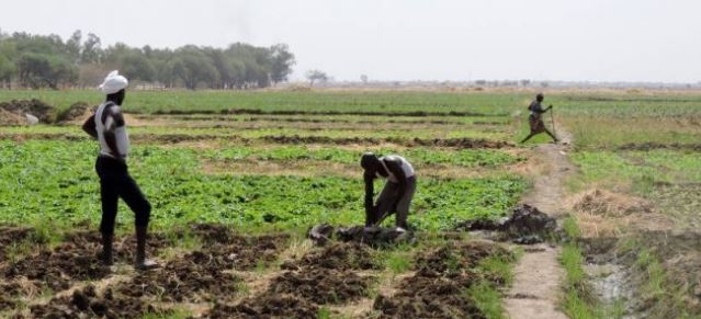 Día del Agricultor