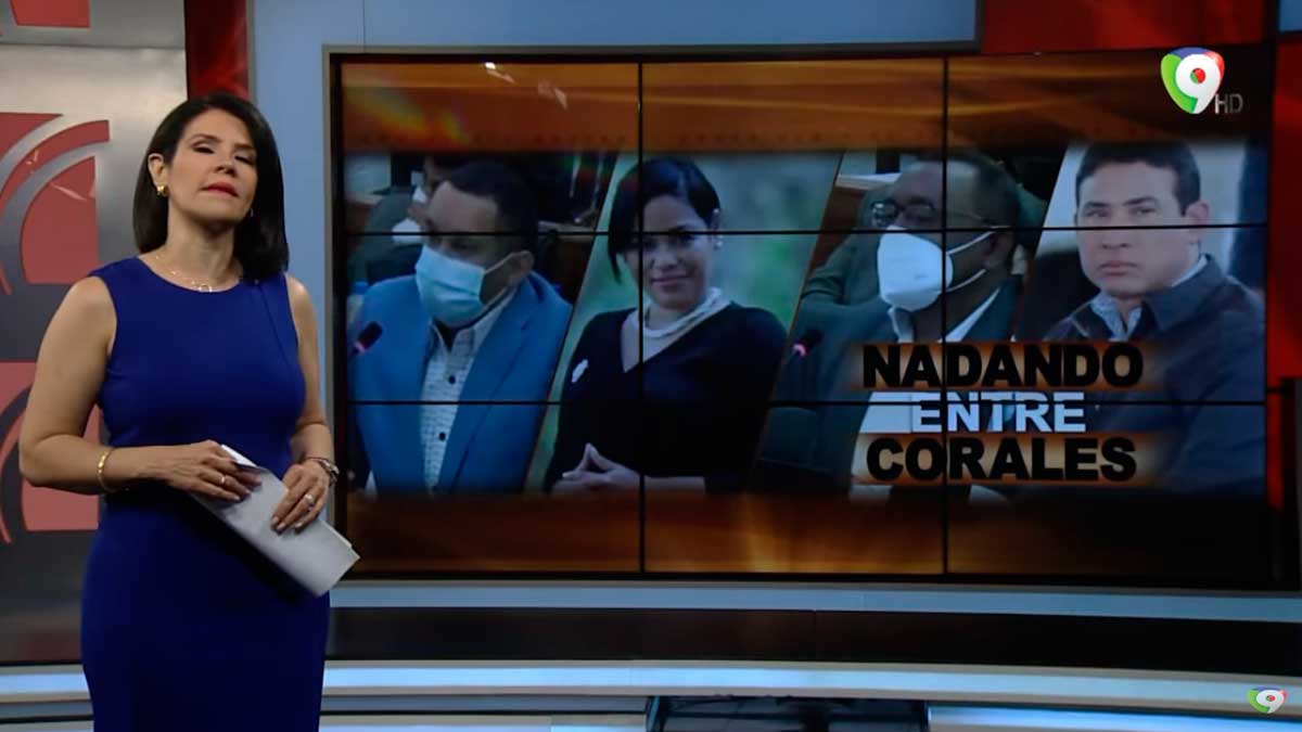 Nadando entre corales | El Informe con Alicia Ortega