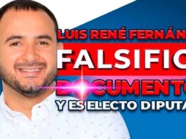 Falsifica documentos y es electo diputado: el caso del diputado Luis René Fernández | Nuria