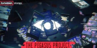 Proyecto Pegasus