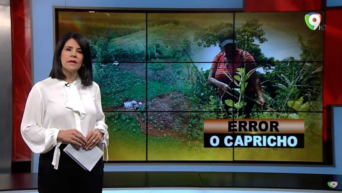 Error o Capricho | El Informe con Alicia Ortega