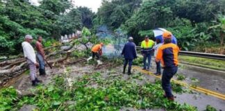 Cuadrillas de MOPC levantan estragos dejados por Fred