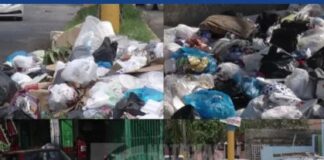 Basura en SDE