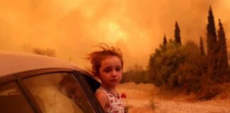 Incendios en Grecia acaban con todo