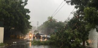 Paso de tormenta Fred