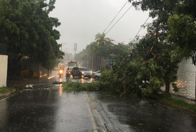 Paso de tormenta Fred