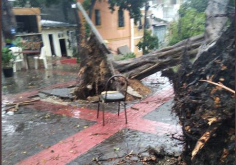 COE llama a seguir vigilantes por temporada ciclónica