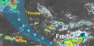 Tormenta Fred