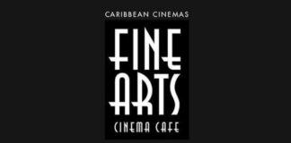 Cine Fine Arts