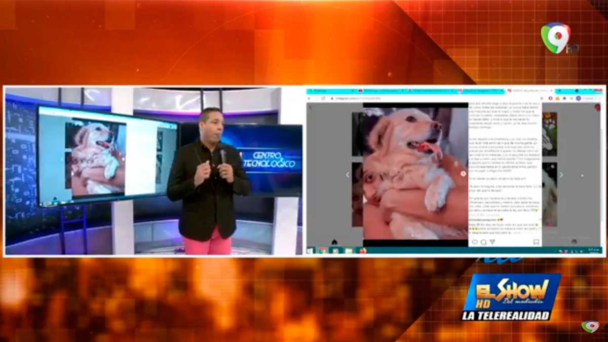 Indignante caso de Asesinato de una Perrita | El Show del Mediodía