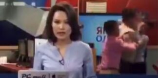 videos viral de pelea en noticiero