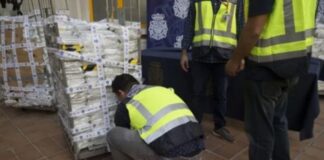 Incautan droga en Brasil