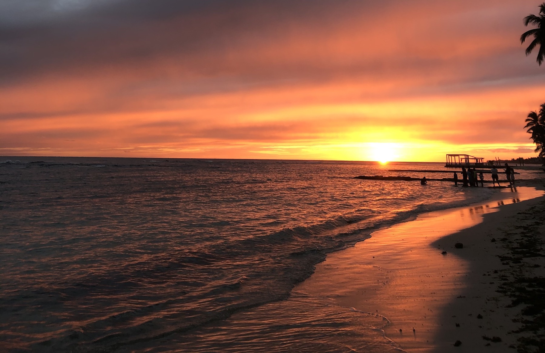 guayacanes atardecer