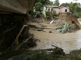 Afectadas por lluvias