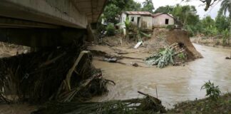 Afectadas por lluvias