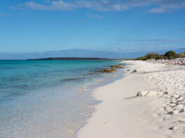 cabo rojo