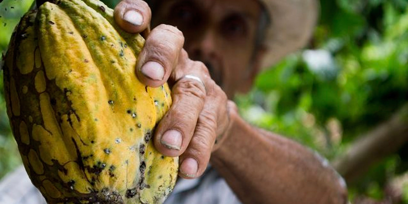 Ministerio de Agricultura llevo acabo un Día de Campo con productores de cacao en Puerto Plata