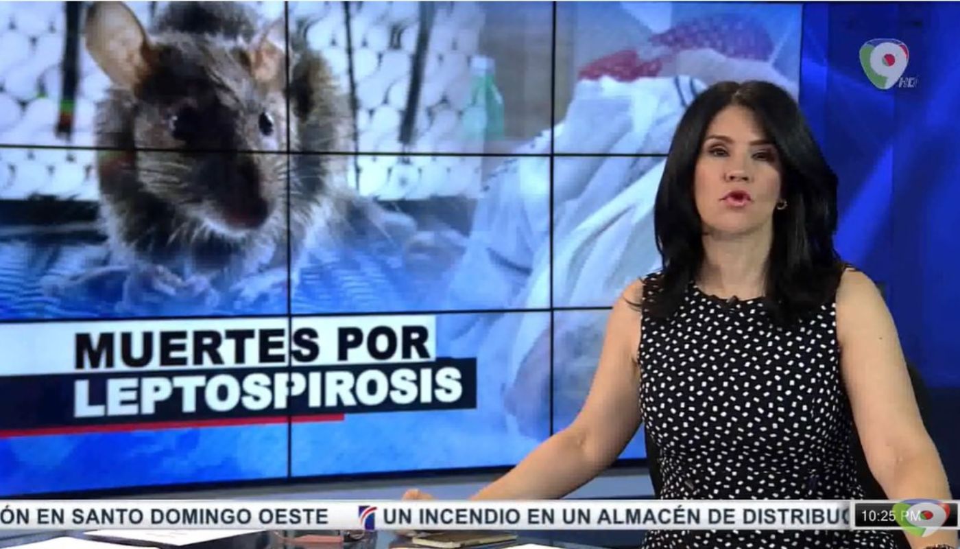 13 muertes por leptospirosis en el país