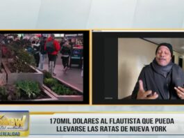 ¿Qué pasa con las ratas en NY? | EL Show del Mediodía