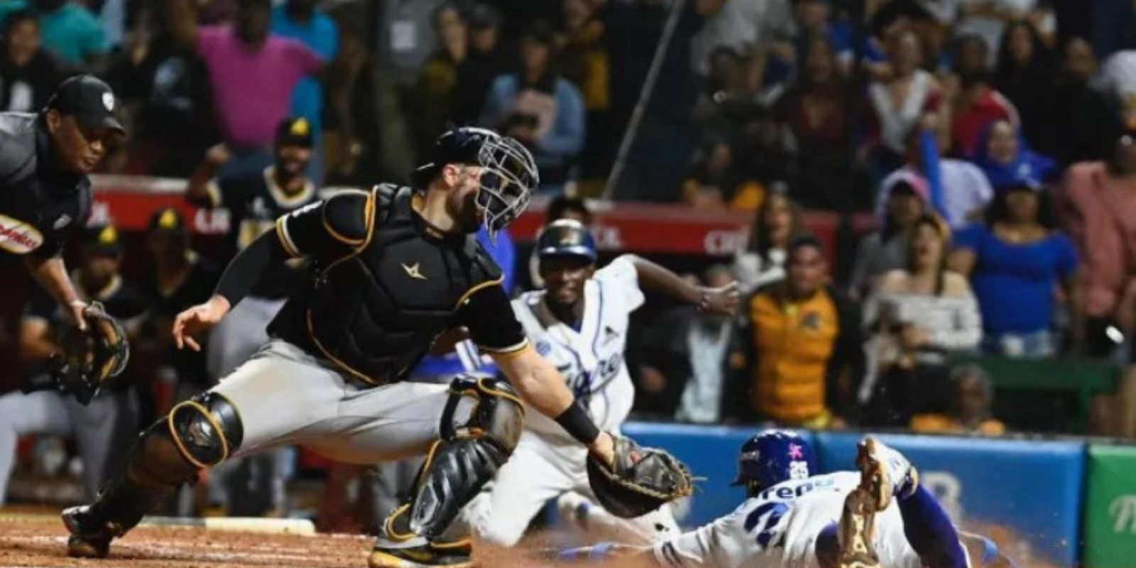 Sencillo de Jorge Alfaro deja en el terreno a las Águilas