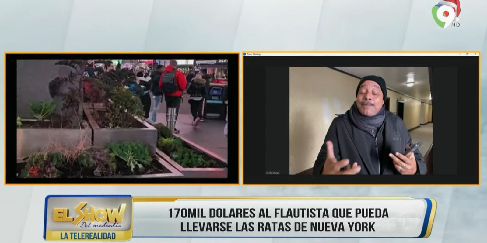 ¿Qué pasa con las ratas en NY? | EL Show del Mediodía