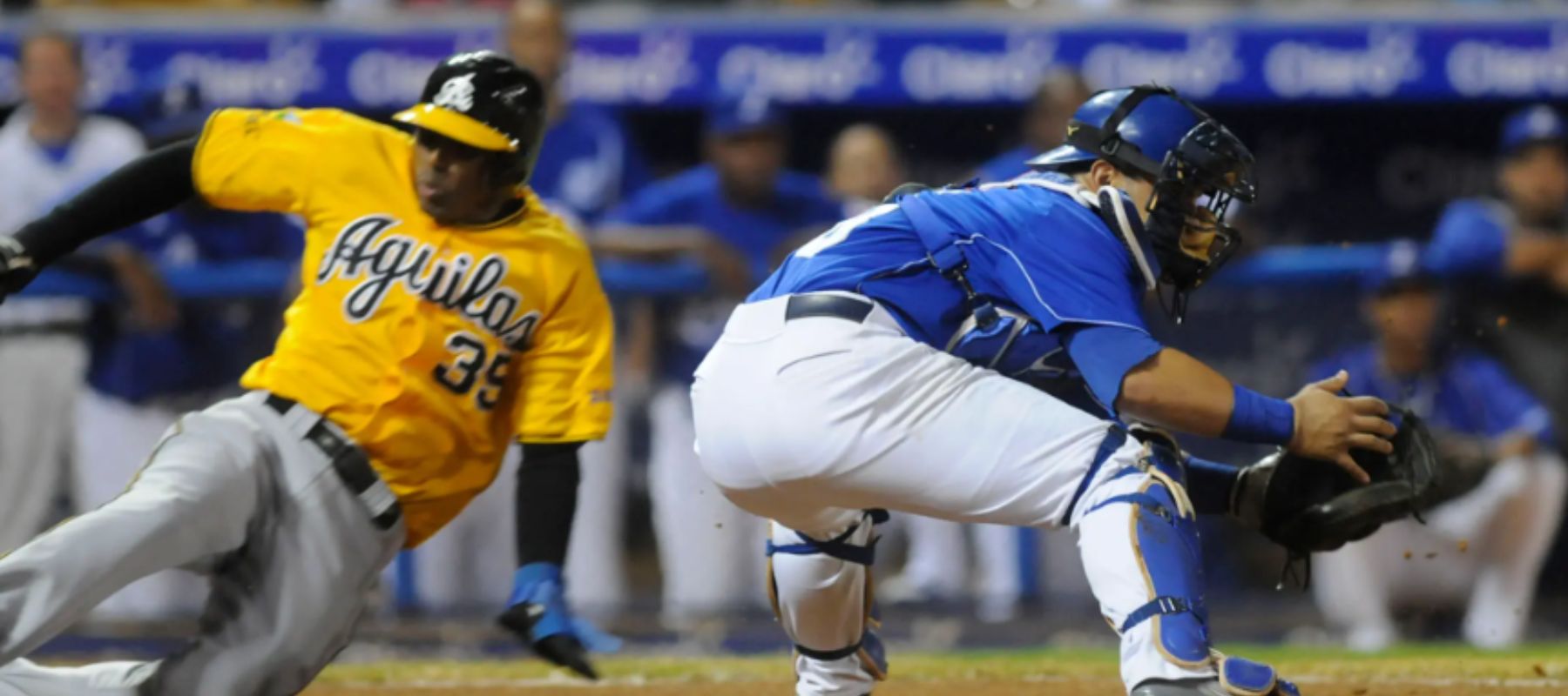 Águilas y Licey jugarán tres partidos en Nueva York