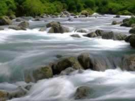 Amoldarse como el río para llegar al océano de la paz