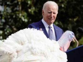 Joe-Biden-indulta-a-dos-pavos-en-su-81-cumpleaños